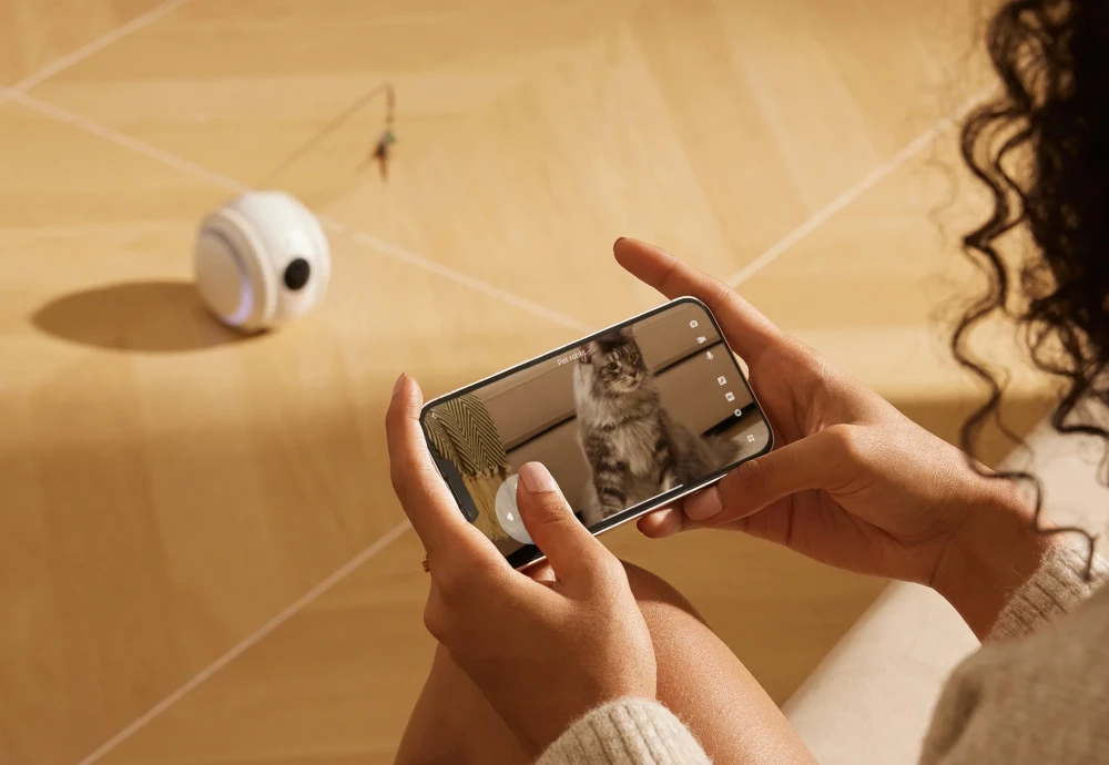 best pet cameras for dogs