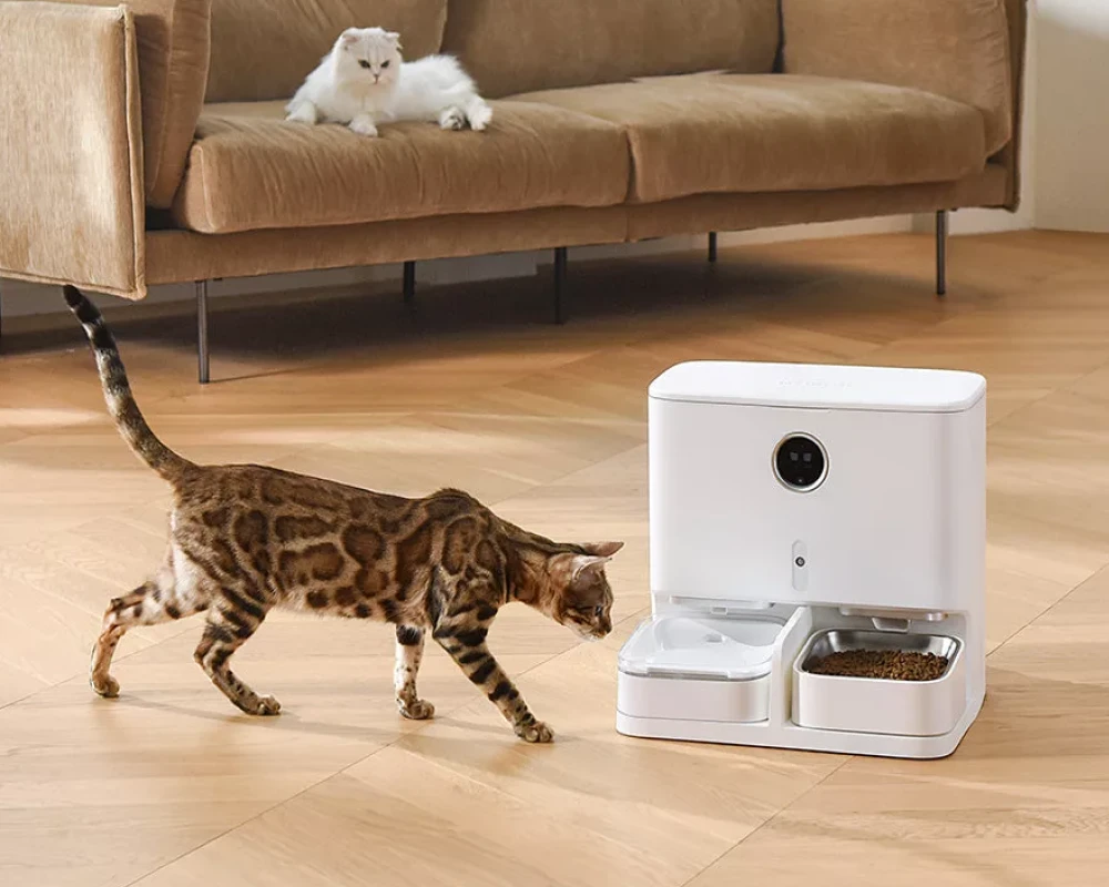 automatic pet food dispenser